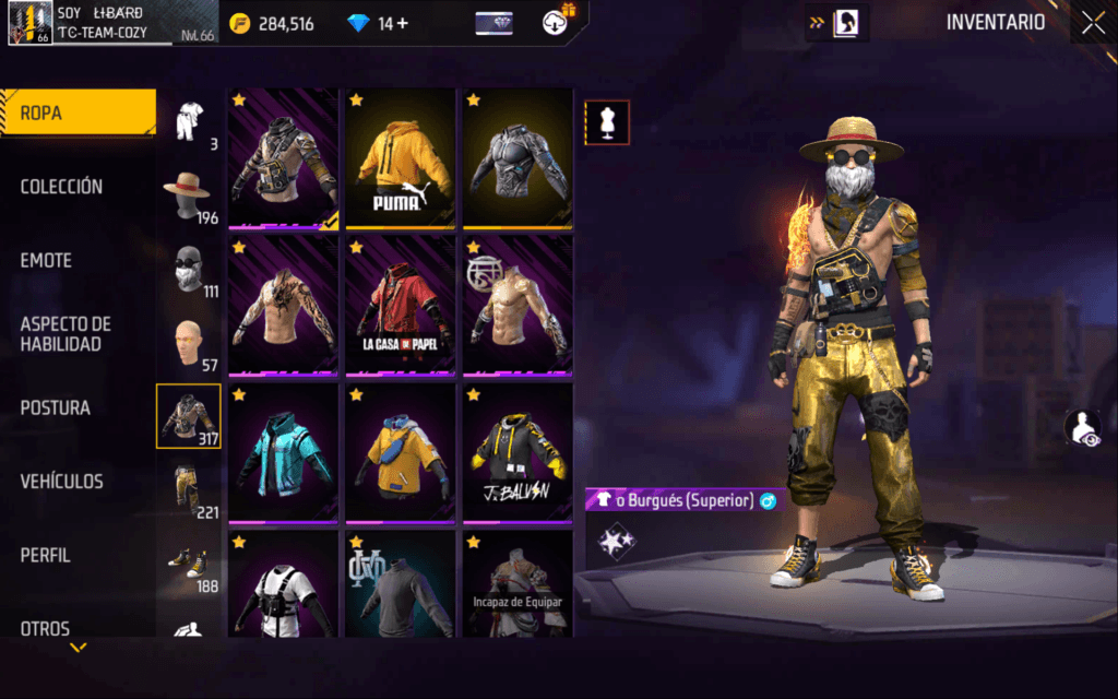 inventario lleno de sking